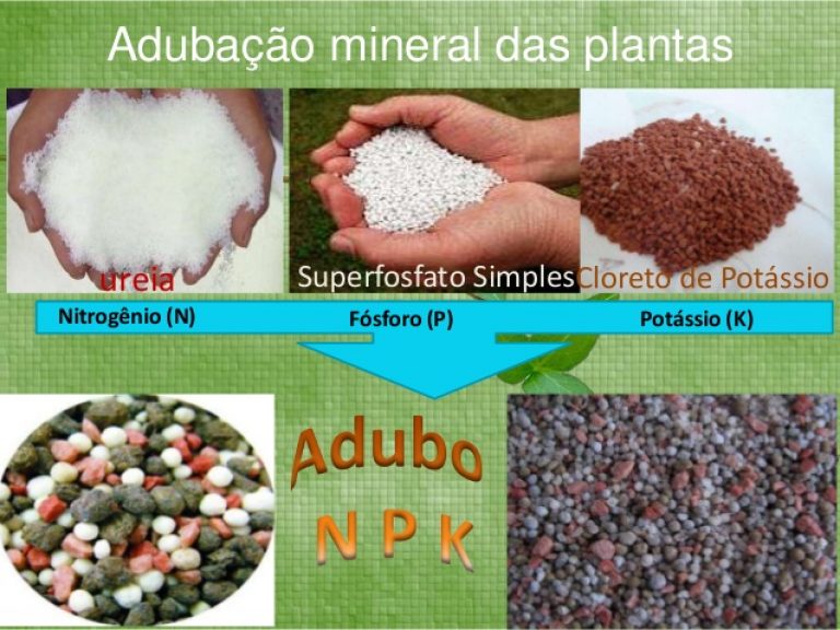 adubo npk 4 14 8 para que serve